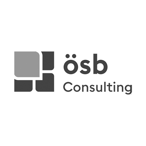 OESB Consulting